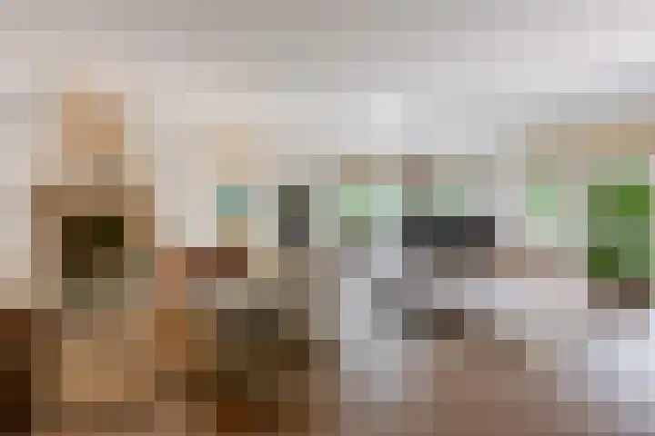 Overboslaan 20 Oostvoorne thumbnail 17