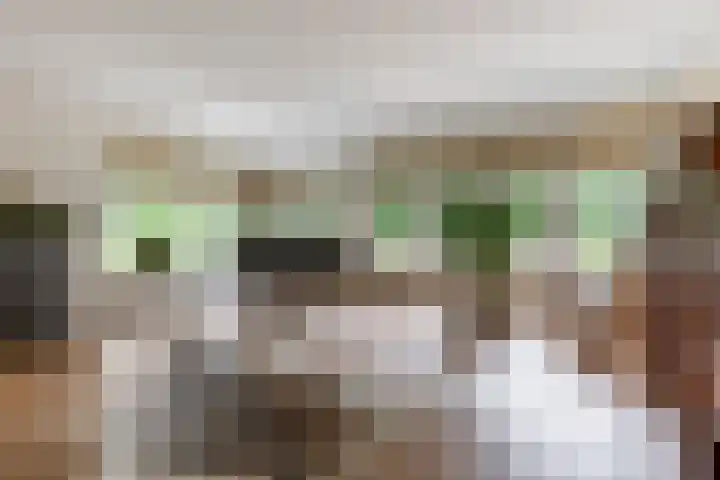 Overboslaan 20 Oostvoorne thumbnail 19