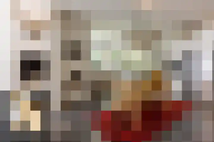 Overboslaan 20 Oostvoorne thumbnail 24