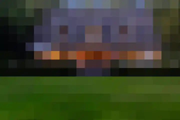 Overboslaan 20 Oostvoorne foto 3