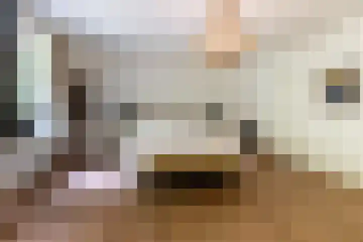 Overboslaan 20 Oostvoorne thumbnail 32