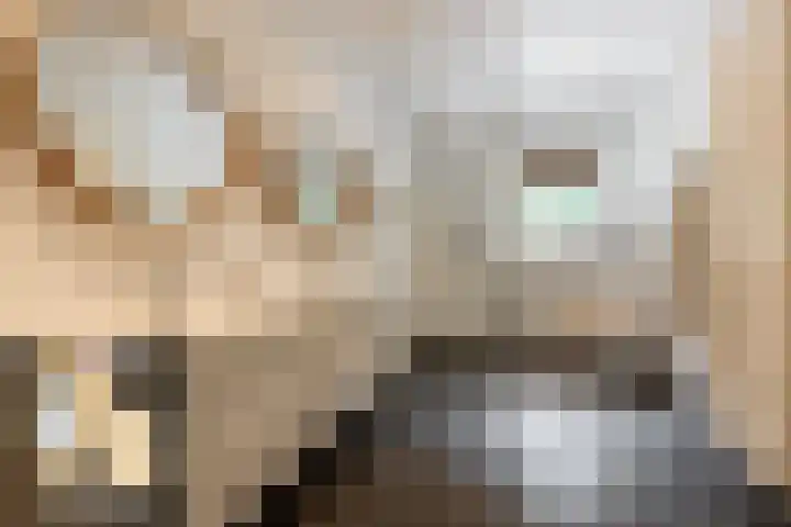 Overboslaan 20 Oostvoorne thumbnail 33