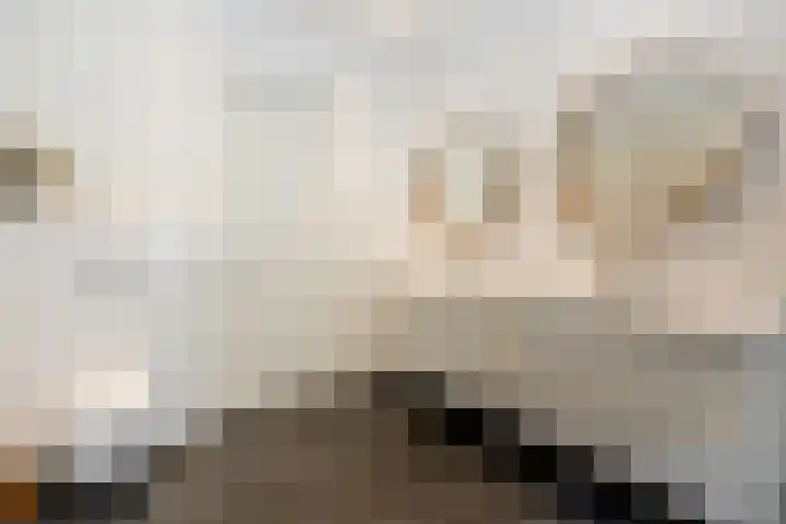 Overboslaan 20 Oostvoorne thumbnail 34