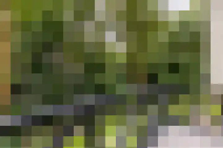 Overboslaan 20 Oostvoorne thumbnail 39