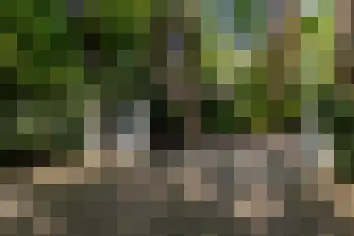 Overboslaan 20 Oostvoorne thumbnail 4