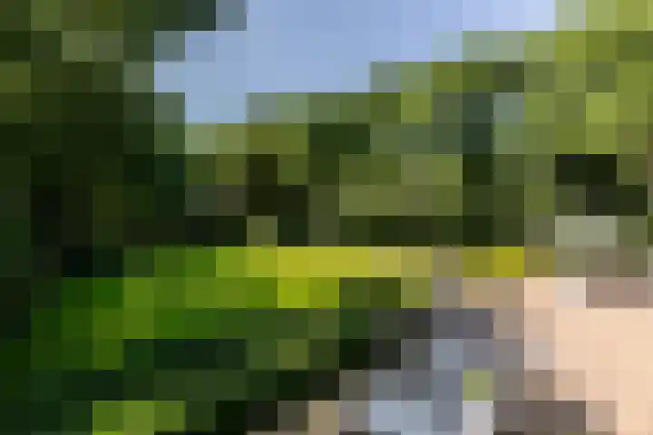 Overboslaan 20 Oostvoorne thumbnail 40