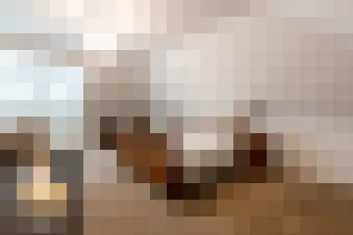 Overboslaan 20 Oostvoorne thumbnail 45