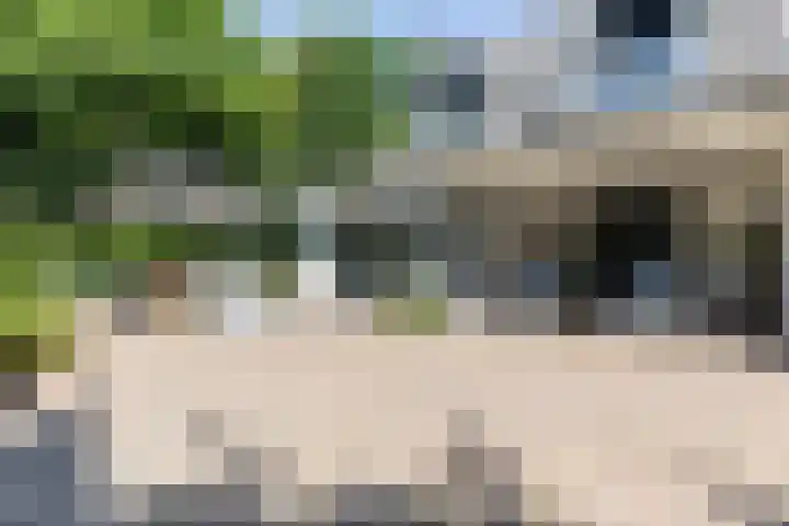 Overboslaan 20 Oostvoorne thumbnail 46