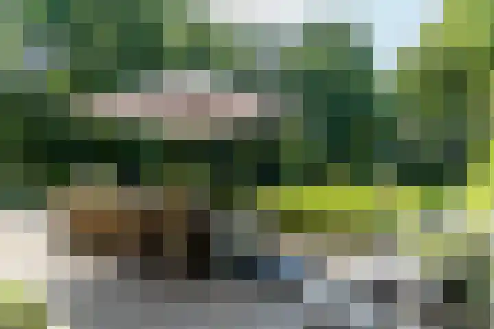 Overboslaan 20 Oostvoorne thumbnail 48