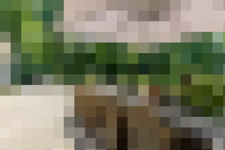 Overboslaan 20 Oostvoorne thumbnail 49