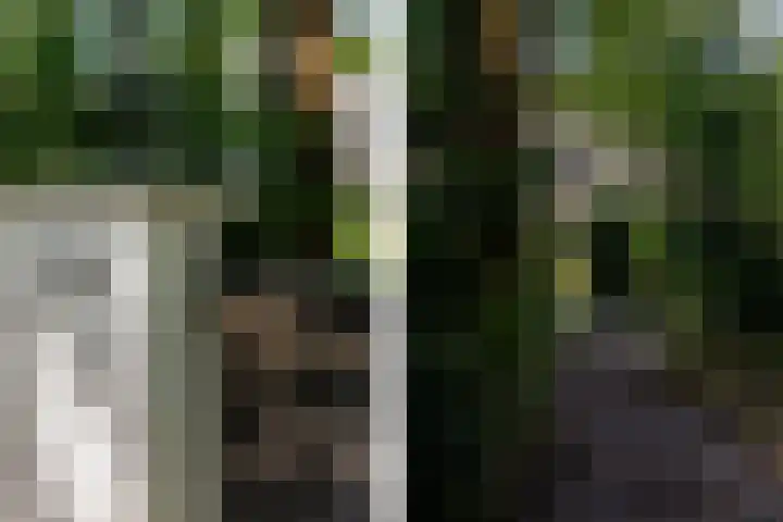 Overboslaan 20 Oostvoorne thumbnail 5