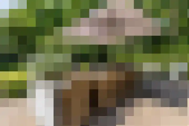 Overboslaan 20 Oostvoorne thumbnail 50