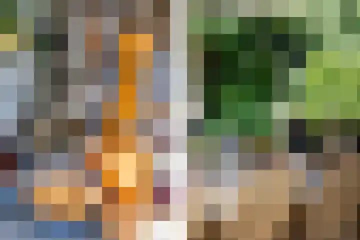 Overboslaan 20 Oostvoorne thumbnail 51