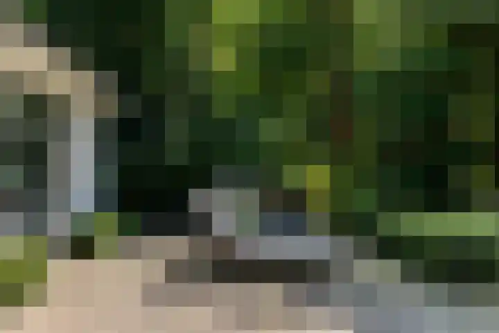 Overboslaan 20 Oostvoorne thumbnail 52