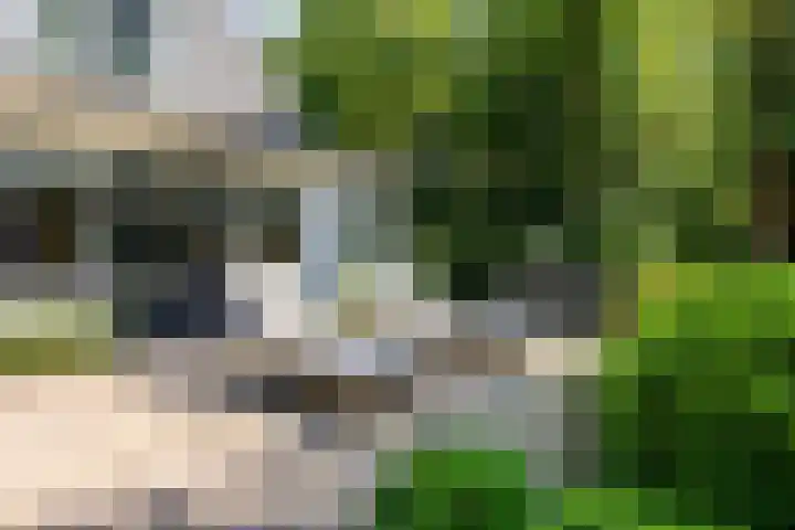 Overboslaan 20 Oostvoorne thumbnail 53