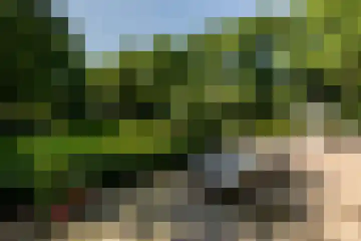 Overboslaan 20 Oostvoorne thumbnail 54