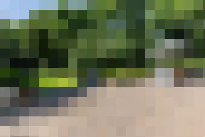 Overboslaan 20 Oostvoorne thumbnail 55