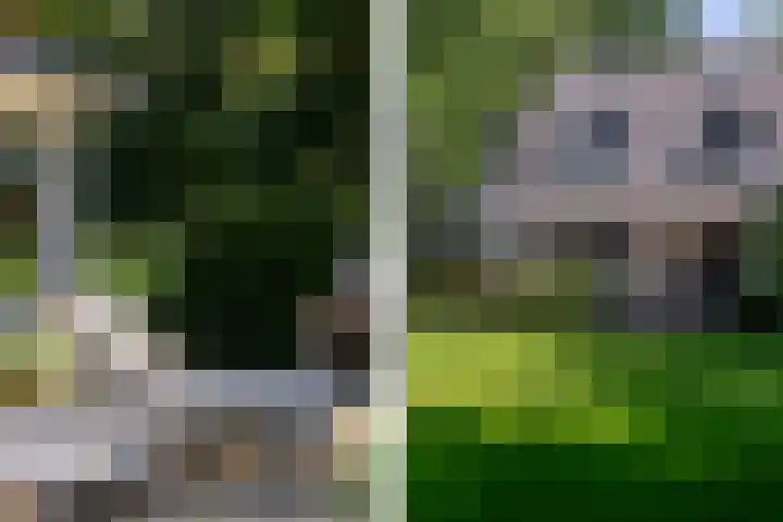 Overboslaan 20 Oostvoorne thumbnail 56