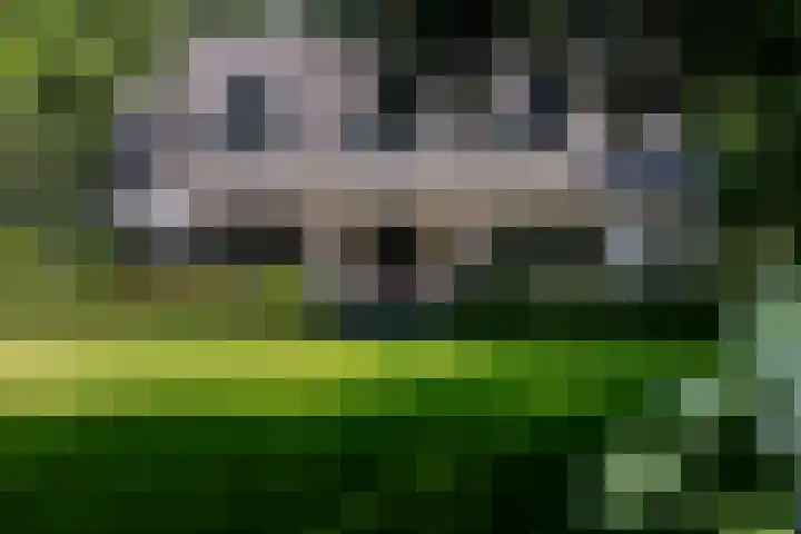 Overboslaan 20 Oostvoorne thumbnail 57