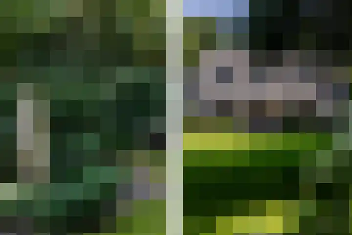 Overboslaan 20 Oostvoorne thumbnail 58