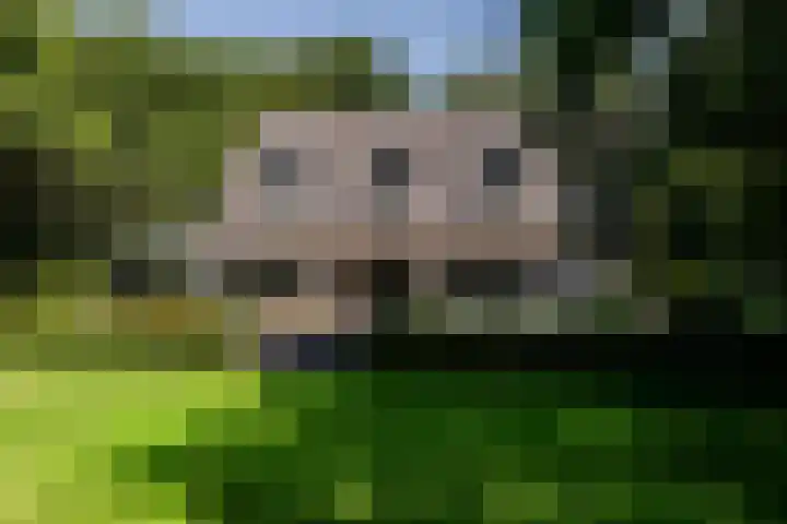 Overboslaan 20 Oostvoorne thumbnail 59