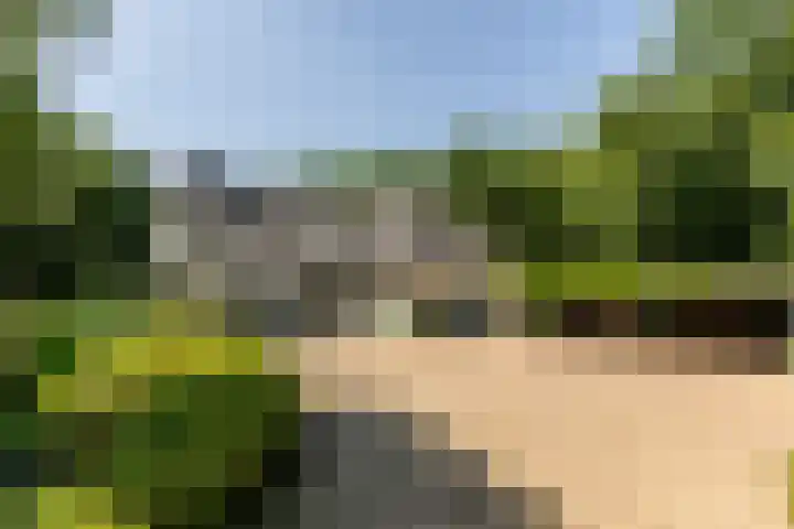 Overboslaan 20 Oostvoorne thumbnail 6