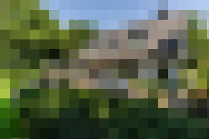 Overboslaan 20 Oostvoorne thumbnail 60