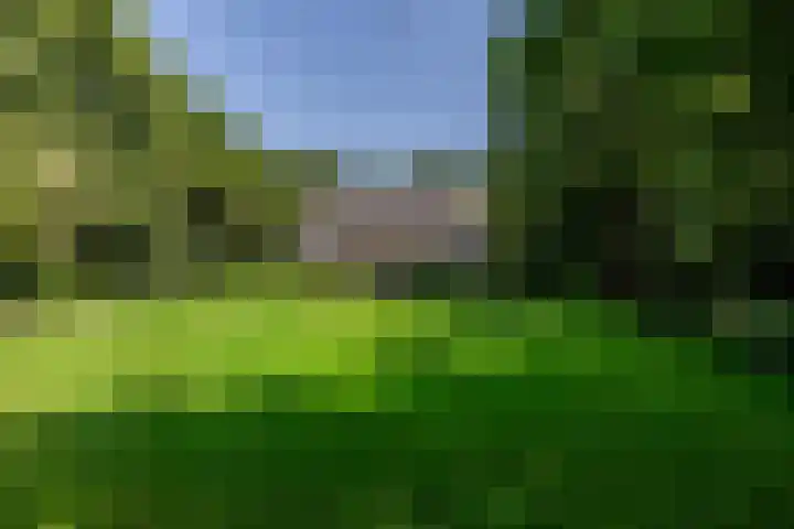 Overboslaan 20 Oostvoorne thumbnail 61