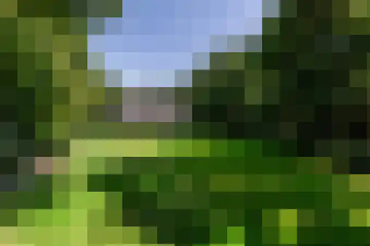 Overboslaan 20 Oostvoorne thumbnail 62