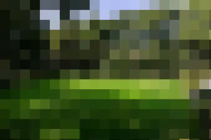 Overboslaan 20 Oostvoorne thumbnail 63