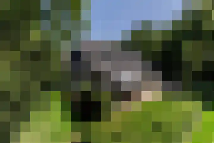 Overboslaan 20 Oostvoorne thumbnail 64