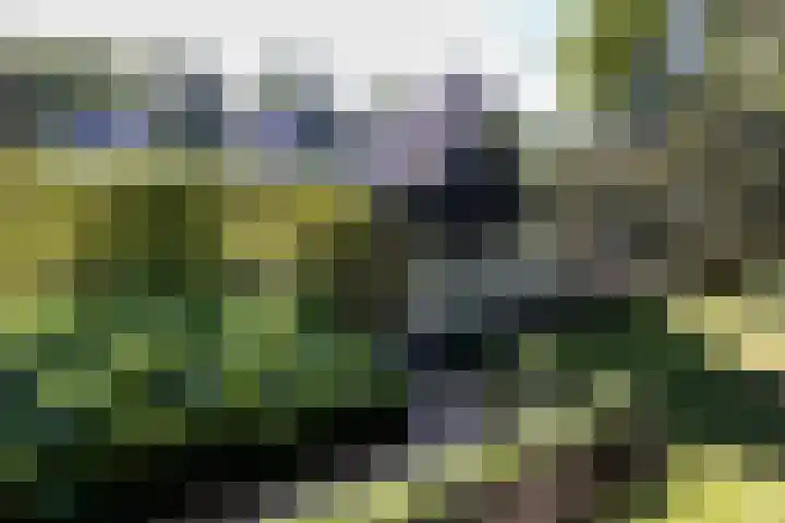 Overboslaan 20 Oostvoorne thumbnail 65