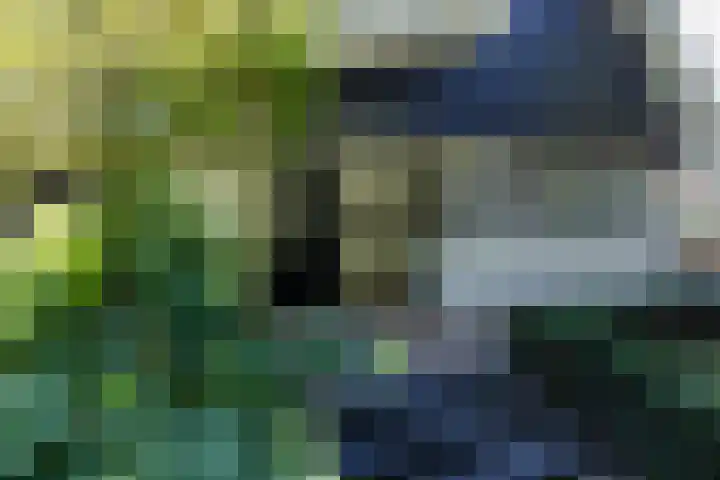 Overboslaan 20 Oostvoorne thumbnail 66
