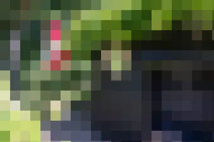 Overboslaan 20 Oostvoorne thumbnail 67