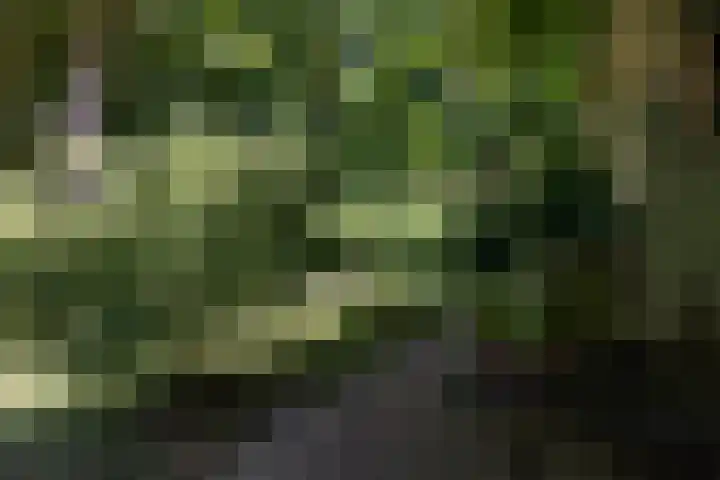 Overboslaan 20 Oostvoorne thumbnail 68