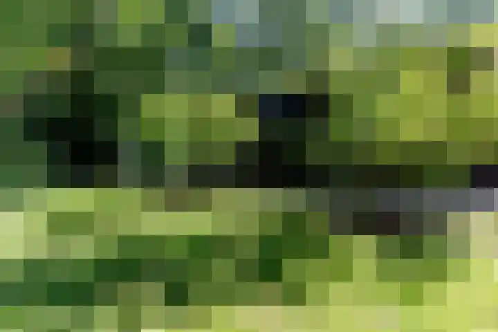 Overboslaan 20 Oostvoorne thumbnail 69