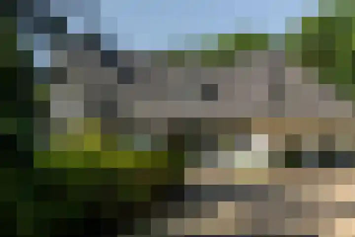 Overboslaan 20 Oostvoorne thumbnail 7