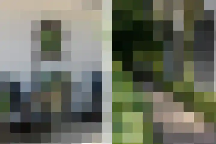 Overboslaan 20 Oostvoorne thumbnail 70