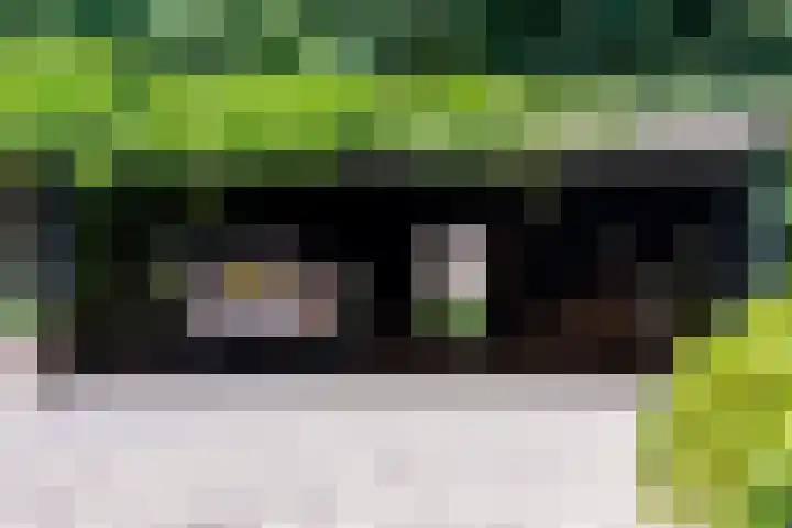 Overboslaan 20 Oostvoorne thumbnail 71