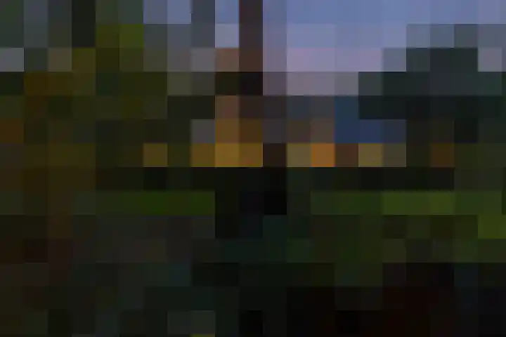 Overboslaan 20 Oostvoorne thumbnail 72