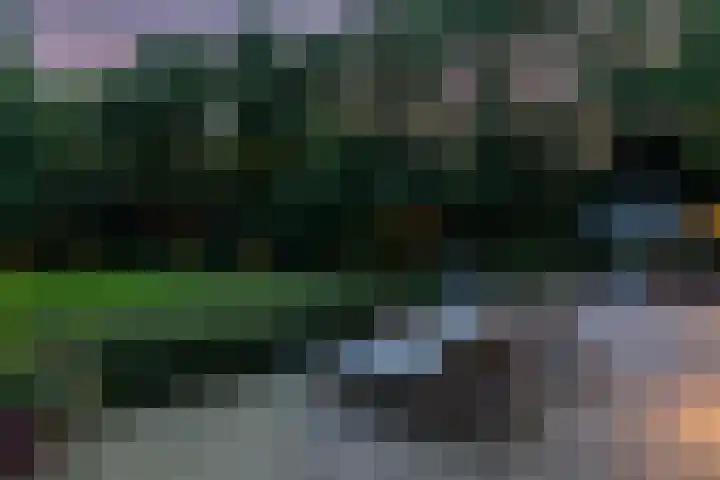 Overboslaan 20 Oostvoorne thumbnail 75