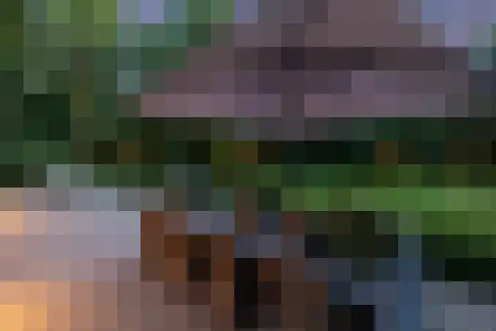 Overboslaan 20 Oostvoorne thumbnail 76