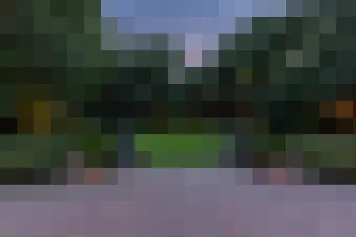 Overboslaan 20 Oostvoorne thumbnail 77