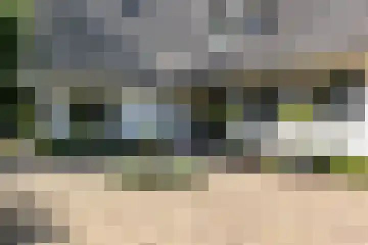 Overboslaan 20 Oostvoorne thumbnail 8