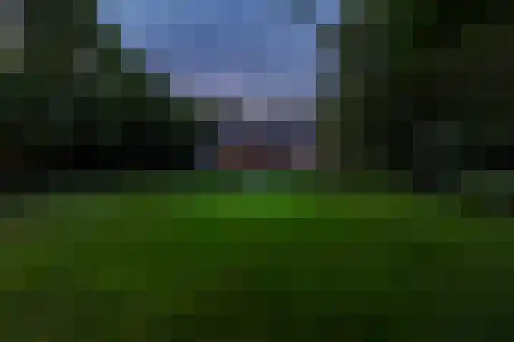 Overboslaan 20 Oostvoorne thumbnail 80