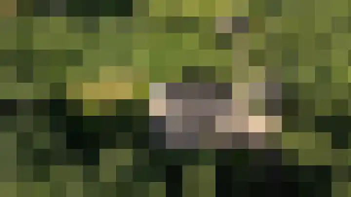 Overboslaan 20 Oostvoorne thumbnail 81