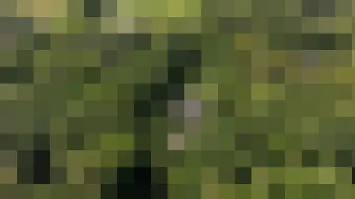 Overboslaan 20 Oostvoorne thumbnail 82