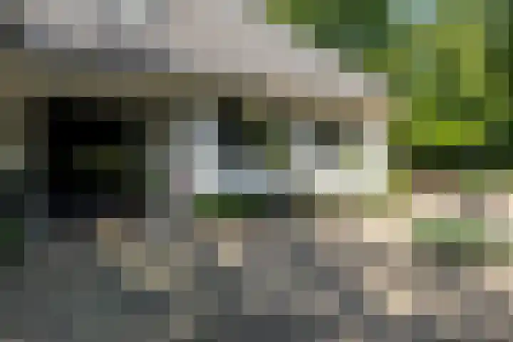 Overboslaan 20 Oostvoorne thumbnail 9