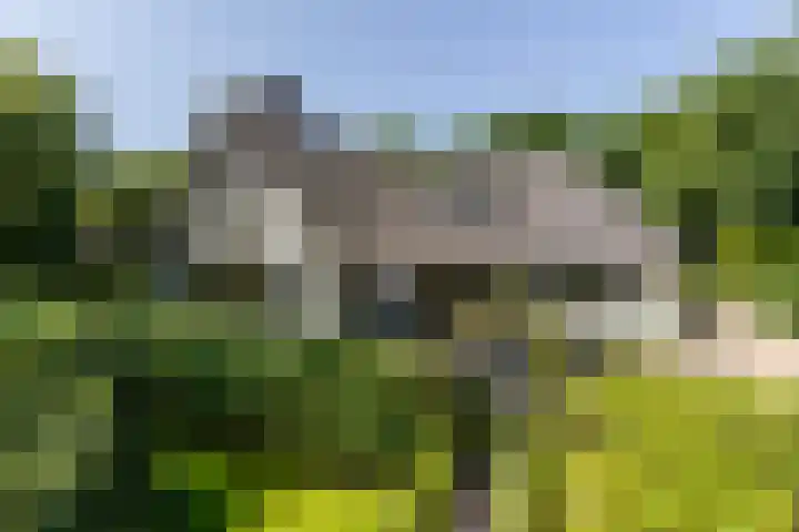 Overboslaan 20 Oostvoorne thumbnail 90