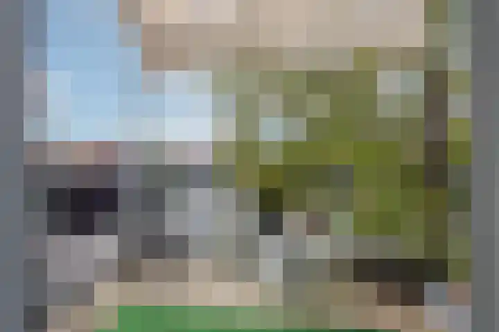 Overboslaan 26 Beverwijk thumbnail 19